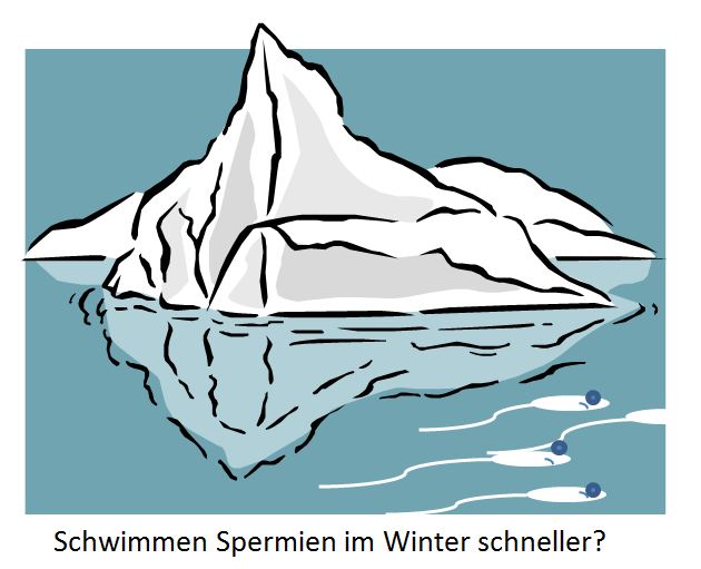 Spermienmotilität und IVF besser im Winter.