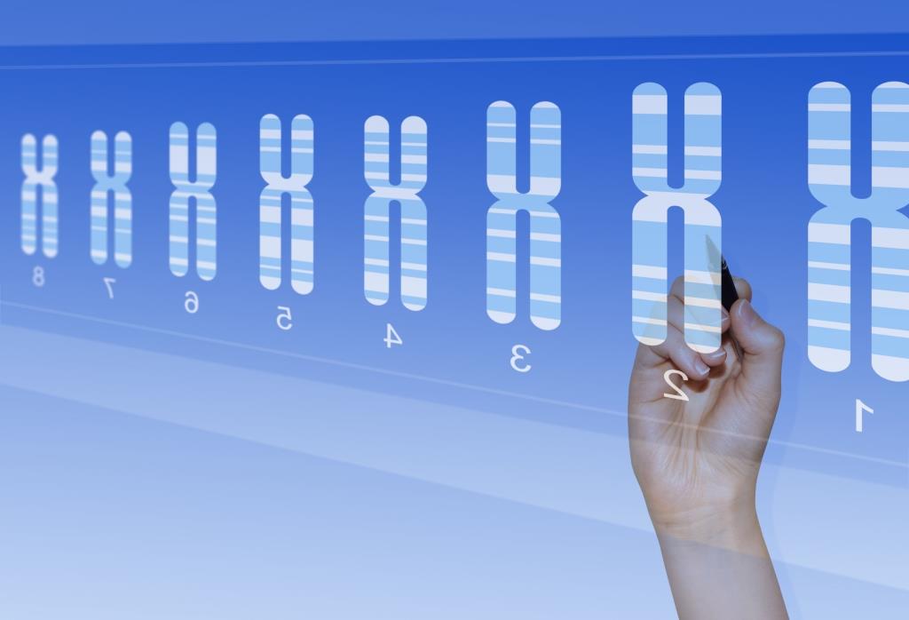 kinderwunsch_ivf_gen mutation_swyer syndrom_zwillingsgeburt_