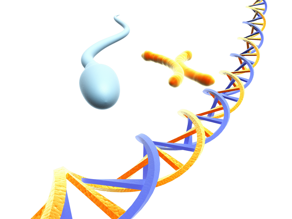 kinderwunsch_ivf_recurrent implantation failure_pgd_pid