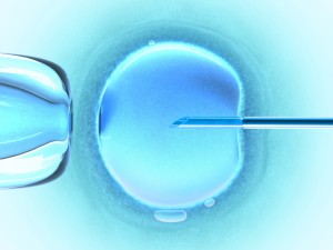 kinderwunsch_ivf_eizellvorsorge_imsi_icsi_eizellspende_blastozystenselektion_vitrifikation